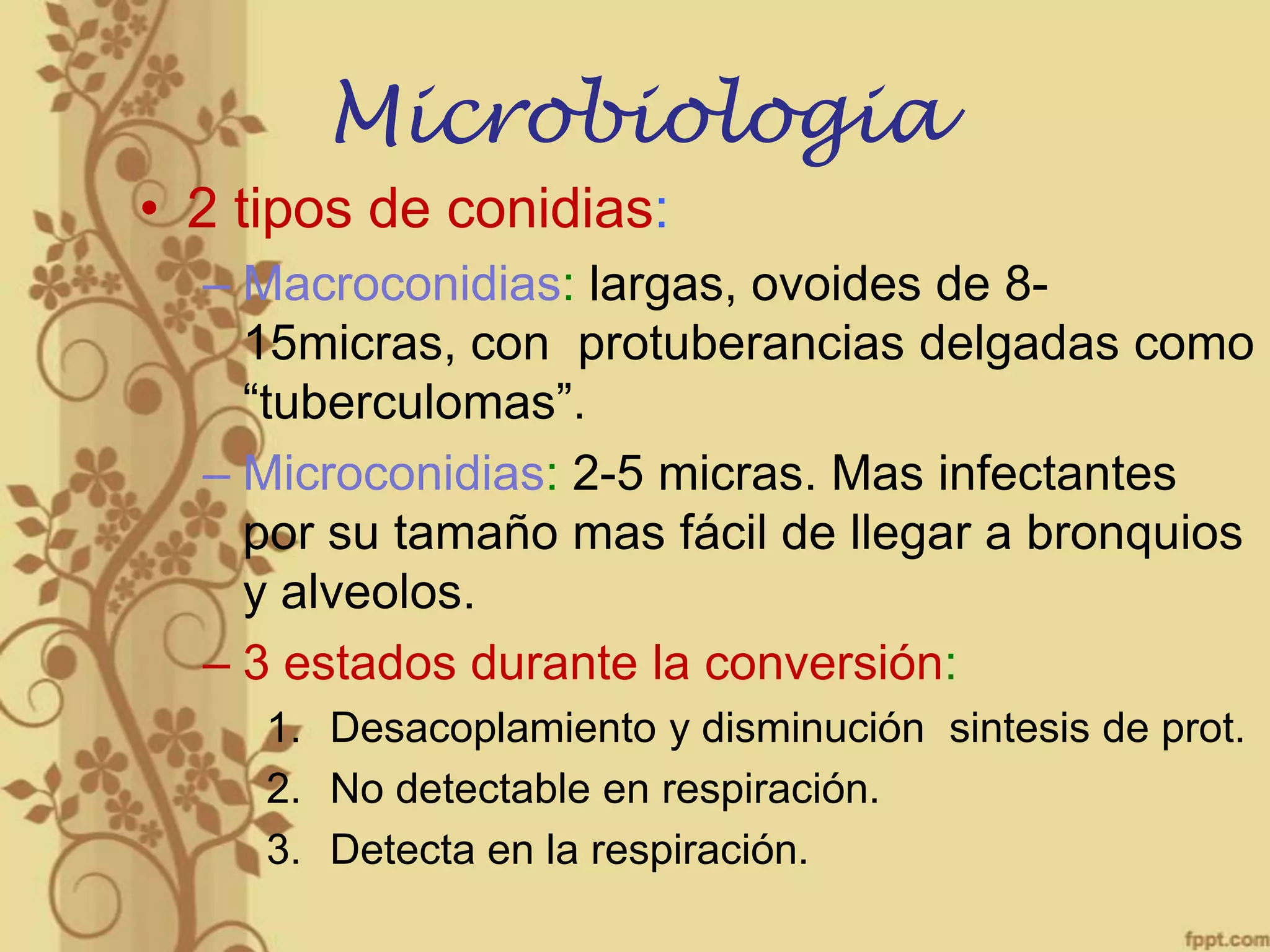 Microbiologia
• 2 tipos de conidias:
– Macroconidias: largas, ovoides de 815micras, con protuberancias delgadas como
“tuberculomas”.
– Microconidias: 2-5 micras. Mas infectantes
por su tamaño mas fácil de llegar a bronquios
y alveolos.
– 3 estados durante la conversión:
1. Desacoplamiento y disminución sintesis de prot.
2. No detectable en respiración.
3. Detecta en la respiración.

 