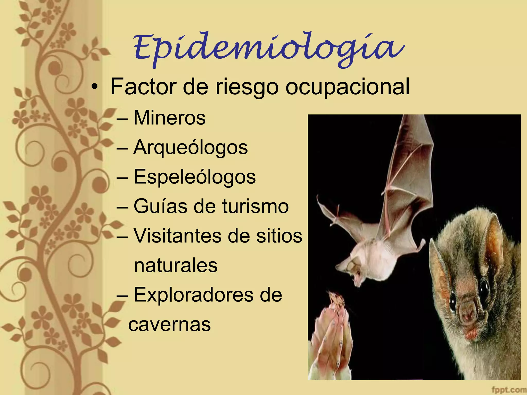 Epidemiología
• Factor de riesgo ocupacional
– Mineros
– Arqueólogos
– Espeleólogos
– Guías de turismo
– Visitantes de sitios
naturales
– Exploradores de
cavernas

 