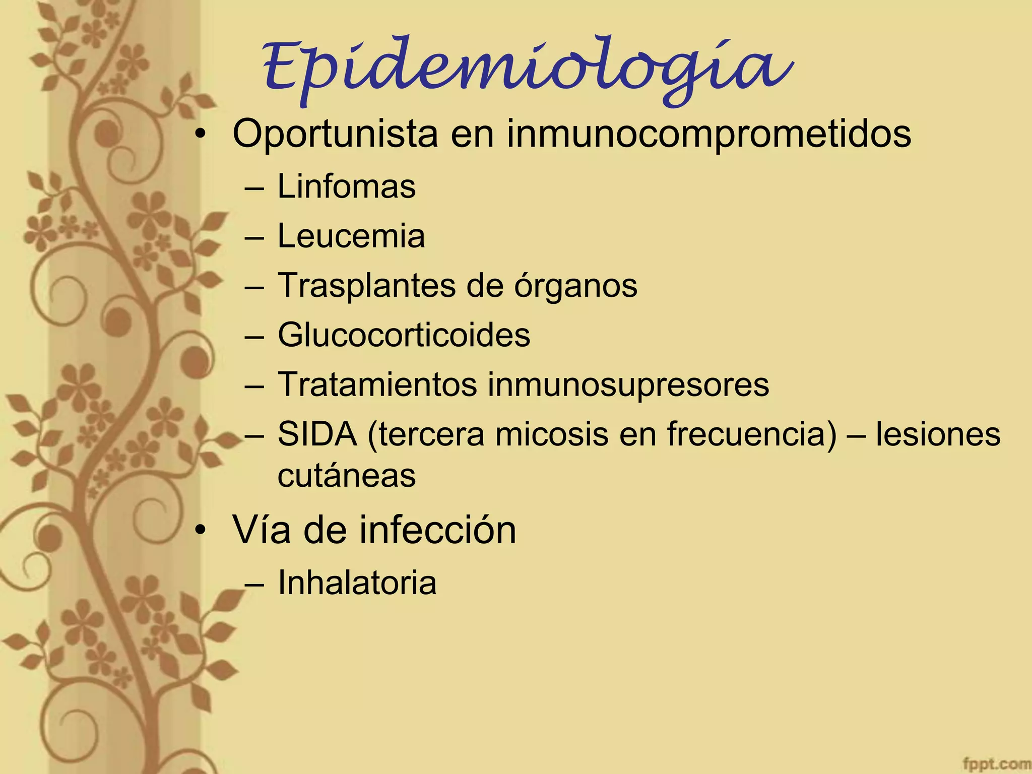 Epidemiología
• Oportunista en inmunocomprometidos
–
–
–
–
–
–

Linfomas
Leucemia
Trasplantes de órganos
Glucocorticoides
Tratamientos inmunosupresores
SIDA (tercera micosis en frecuencia) – lesiones
cutáneas

• Vía de infección
– Inhalatoria

 