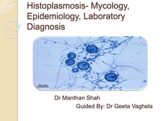 Histoplasmosis- Mycology,
Epidemiology, Laboratory
Diagnosis
Dr Manthan Shah
Guided By: Dr Geeta Vaghela
 