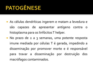    As células dendríticas ingerem e matam a levedura e
    são capazes de apresentar antígeno contra o
    histoplasma para os linfócitos T helper.
   No prazo de 2 a 3 semanas, uma potente resposta
    imune mediada por células T é gerada, impedindo a
    disseminação por promover morte e é responsável
    para travar a disseminação por destruição dos
    macrófagos contaminados.
 