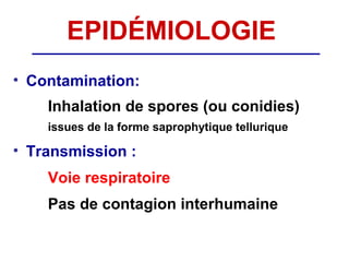EPIDÉMIOLOGIE
• Contamination:
    Inhalation de spores (ou conidies)
    issues de la forme saprophytique tellurique

• Transmission :
    Voie respiratoire
    Pas de contagion interhumaine
 