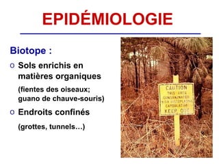 EPIDÉMIOLOGIE
Biotope :
o Sols enrichis en
  matières organiques
 (fientes des oiseaux;
 guano de chauve-souris)
o Endroits confinés
 (grottes, tunnels…)
 