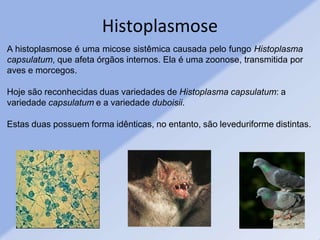 A histoplasmose é uma micose sistêmica causada pelo fungo Histoplasma
capsulatum, que afeta órgãos internos. Ela é uma zoonose, transmitida por
aves e morcegos.
Hoje são reconhecidas duas variedades de Histoplasma capsulatum: a
variedade capsulatum e a variedade duboisii.
Estas duas possuem forma idênticas, no entanto, são leveduriforme distintas.
Histoplasmose
 