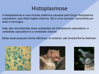 A histoplasmose é uma micose sistêmica causada pelo fungo Histoplasma
capsulatum, que afeta órgãos internos. Ela é uma zoonose, transmitida por
aves e morcegos.
Hoje são reconhecidas duas variedades de Histoplasma capsulatum: a
variedade capsulatum e a variedade duboisii.
Estas duas possuem forma idênticas, no entanto, são leveduriforme distintas.
Histoplasmose
 