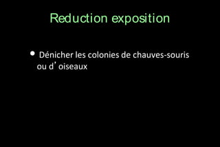 Reduction exposition

• Dénicher les colonies de chauves-souris
ou d’oiseaux

 