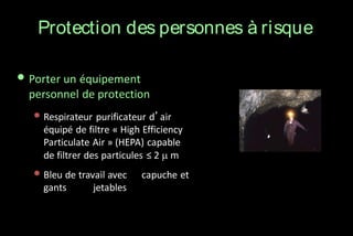 Protection des personnes à risque

• Porter un équipement
personnel de protection

• Respirateur purificateur d’air
équipé de filtre « High Efficiency
Particulate Air » (HEPA) capable
de filtrer des particules ≤ 2  m

• Bleu de travail avec
gants

jetables

capuche et

 