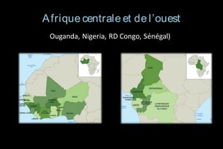 A frique centrale et de l’ouest
Ouganda, Nigeria, RD Congo, Sénégal)

 