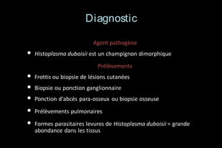 Diagnostic
Agent pathogène

•

Histoplasma duboisii est un champignon dimorphique
Prélèvements

•
•
•
•
•

Frottis ou biopsie de lésions cutanées
Biopsie ou ponction ganglionnaire
Ponction d'abcès para-osseux ou biopsie osseuse
Prélèvements pulmonaires
Formes parasitaires levures de Histoplasma duboisii = grande
abondance dans les tissus

 