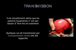 TRA N SM ISSION
Il est actuellement admis que les
patients hospitalisés n’ont pas
besoin d’être mis en isolement

Quelques cas de transmission par
transplantation rénale ont été
rapportés

 