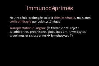 Immunodéprimés
Neutropénie prolongée suite à chimiothérapie, mais aussi
corticothérapie par voie systémique
Transplantation d’organe (la thérapie anti-rejet :
aziathioprine, prednisone, globulines anti-thymocytes,
tacrolimus et ciclosporine  lymphocytes T)

 