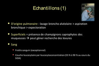 Echantillons (1)
• D'origine pulmonaire : lavage broncho alvéolaire > aspiration
bronchique > expectoration

• Superficiels = présence de champignons saprophytes des
muqueuses  peut gêner recherche des levures

• Sang
• Frottis sanguin (exceptionnel)
• Couche leucocytaire par leucocytoconcentration (55 % à 90 % au cours du
SIDA)

 