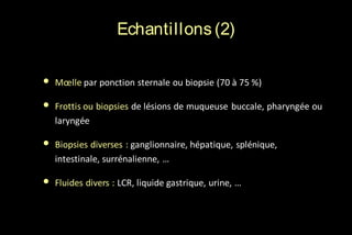 Echantillons (2)
•

Mœlle par ponction sternale ou biopsie (70 à 75 %)

•

Frottis ou biopsies de lésions de muqueuse buccale, pharyngée ou
laryngée

•

Biopsies diverses : ganglionnaire, hépatique, splénique,
intestinale, surrénalienne, …

•

Fluides divers : LCR, liquide gastrique, urine, …

 