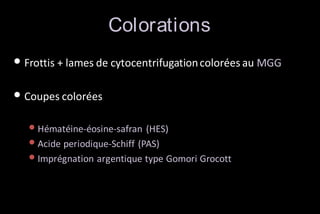 Colorations
• Frottis + lames de cytocentrifugation colorées au MGG
• Coupes colorées
• Hématéine-éosine-safran (HES)
• Acide periodique-Schiff (PAS)
• Imprégnation argentique type Gomori Grocott

 