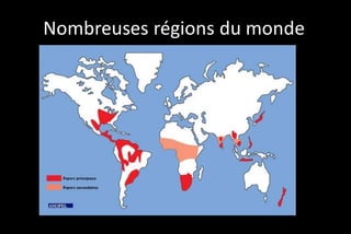 Nombreuses régions du monde

 