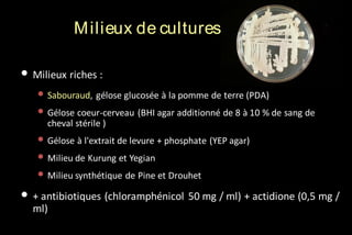 M ilieux de cultures
• Milieux riches :
• Sabouraud, gélose glucosée à la pomme de terre (PDA)
• Gélose coeur-cerveau (BHI agar additionné de 8 à 10 % de sang de
cheval stérile )

• Gélose à l'extrait de levure + phosphate (YEP agar)
• Milieu de Kurung et Yegian
• Milieu synthétique de Pine et Drouhet

• + antibiotiques (chloramphénicol 50 mg / ml) + actidione (0,5 mg /
ml)

 