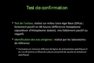 Test de confirmation
• Test de l'uréase, réalisé sur milieu Urea-Agar Base (Difco) :
fortement positif en 48 heures (différencie Histoplasma
capsulatum d'Histoplasma duboisii, très faiblement positif ou
négatif)

• Identification des exo antigènes : réalisé par les laboratoires
de référence

• Formation en immuno-diffusion de lignes de précipitation spécifiques H
et / ou M (entre un filtrat de culture concentré de souche et antisérum
spécifique)

 