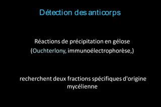 Détection des anticorps

Réactions de précipitation en gélose
(Ouchterlony, immunoélectrophorèse,)

recherchent deux fractions spécifiques d'origine
mycélienne

 
