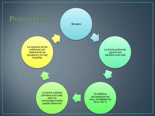 Benigno

La mayoría de los
enfermos con
tratamiento se
recupera y no hay
recaídas

La forma cutánea
primitiva cura sola,
pero en
inmunodeprimidos
puede diseminar

La forma pulmonar
aguda casi
siempre cura sola

En SIDA la
recuperación es
rara, mortalidad de
83 a 100 %

 