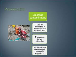 En áreas
contaminadas
Uso de
mascarilla y
aspersión con
formol a 3 %
Trabajar en
tierras
húmedas
Pacientes con
infección por
VIH evitar
exposición

 