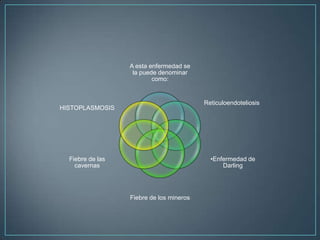 A esta enfermedad se
la puede denominar
como:

Reticuloendoteliosis

HISTOPLASMOSIS

•Enfermedad de
Darling

Fiebre de las
cavernas

Fiebre de los mineros

 