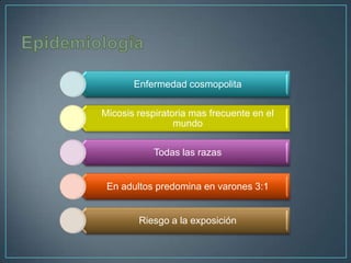 Enfermedad cosmopolita
Micosis respiratoria mas frecuente en el
mundo
Todas las razas

En adultos predomina en varones 3:1

Riesgo a la exposición

 