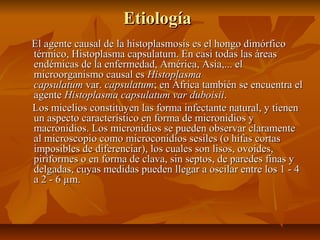 EtiologíaEtiología
El agente causal de la histoplasmosis es el hongo dimórficoEl agente causal de la histoplasmosis es el hongo dimórfico
térmico, Histoplasma capsulatum. En casi todas las áreastérmico, Histoplasma capsulatum. En casi todas las áreas
endémicas de la enfermedad, América, Asia,... elendémicas de la enfermedad, América, Asia,... el
microorganismo causal esmicroorganismo causal es HistoplasmaHistoplasma
capsulatumcapsulatum var.var. capsulatumcapsulatum; en África también se encuentra el; en África también se encuentra el
agenteagente Histoplasma capsulatum varHistoplasma capsulatum var duboisiiduboisii..
Los micelios constituyen las forma infectante natural, y tienenLos micelios constituyen las forma infectante natural, y tienen
un aspecto característico en forma de micronidios yun aspecto característico en forma de micronidios y
macronidios. Los micronidios se pueden observar claramentemacronidios. Los micronidios se pueden observar claramente
al microscopio como microconidios sesiles (o hifas cortasal microscopio como microconidios sesiles (o hifas cortas
imposibles de diferenciar), los cuales son lisos, ovoides,imposibles de diferenciar), los cuales son lisos, ovoides,
piriformes o en forma de clava, sin septos, de paredes finas ypiriformes o en forma de clava, sin septos, de paredes finas y
delgadas, cuyas medidas pueden llegar a oscilar entre los 1 - 4delgadas, cuyas medidas pueden llegar a oscilar entre los 1 - 4
a 2 - 6 µm.a 2 - 6 µm.
 