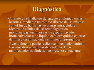 DiagnósticoDiagnóstico
Consiste en el hallazgo del agente etiológico en lasConsiste en el hallazgo del agente etiológico en las
lesiones, mediante un estudio directo de las mismaslesiones, mediante un estudio directo de las mismas
con el fin de hallar las levaduras intracelularescon el fin de hallar las levaduras intracelulares
(dentro de células del sistema fagocítico(dentro de células del sistema fagocítico
mononuclear) en muestras de esputo, lavadomononuclear) en muestras de esputo, lavado
broncoalveolar o de líquido cefalorraquídeo en casosbroncoalveolar o de líquido cefalorraquídeo en casos
de infección en pacientes inmunocomprometidos.de infección en pacientes inmunocomprometidos.
Eventualmente puede realizarse inoculación animal.Eventualmente puede realizarse inoculación animal.
Las muestras analizadas dependerán de lasLas muestras analizadas dependerán de las
manifestaciones clínicas que presente el paciente.manifestaciones clínicas que presente el paciente.
 