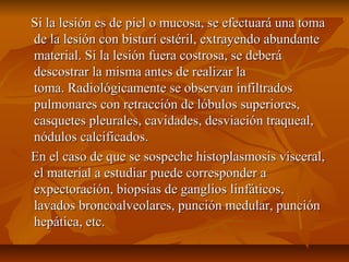 Si la lesión es de piel o mucosa, se efectuará una tomaSi la lesión es de piel o mucosa, se efectuará una toma
de la lesión con bisturí estéril, extrayendo abundantede la lesión con bisturí estéril, extrayendo abundante
material. Si la lesión fuera costrosa, se deberámaterial. Si la lesión fuera costrosa, se deberá
descostrar la misma antes de realizar ladescostrar la misma antes de realizar la
toma. Radiológicamente se observan infiltradostoma. Radiológicamente se observan infiltrados
pulmonares con retracción de lóbulos superiores,pulmonares con retracción de lóbulos superiores,
casquetes pleurales, cavidades, desviación traqueal,casquetes pleurales, cavidades, desviación traqueal,
nódulos calcificados.nódulos calcificados.
En el caso de que se sospeche histoplasmosis visceral,En el caso de que se sospeche histoplasmosis visceral,
el material a estudiar puede corresponder ael material a estudiar puede corresponder a
expectoración, biopsias de ganglios linfáticos,expectoración, biopsias de ganglios linfáticos,
lavados broncoalveolares, punción medular, punciónlavados broncoalveolares, punción medular, punción
hepática, etc.hepática, etc.
 