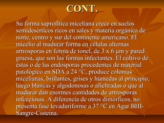 CONT.CONT.
Su forma saprofitica miceliana crece en suelosSu forma saprofitica miceliana crece en suelos
semidesérticos ricos en sales y materia orgánica desemidesérticos ricos en sales y materia orgánica de
norte, centro y sur del continente americano. Elnorte, centro y sur del continente americano. El
micelio al madurar forma en células alternasmicelio al madurar forma en células alternas
artrosporas en forma de tonel, de 3 x 6 μm y paredartrosporas en forma de tonel, de 3 x 6 μm y pared
gruesa, que son las formas infectantes. El cultivo degruesa, que son las formas infectantes. El cultivo de
éstas o de las endosporas procedentes de materialéstas o de las endosporas procedentes de material
patológico en SDA a 24 °C, produce coloniaspatológico en SDA a 24 °C, produce colonias
micelianas, brillantes, grises y húmedas al principio,micelianas, brillantes, grises y húmedas al principio,
luego blancas y algodonosas o afieltradas o que alluego blancas y algodonosas o afieltradas o que al
madurar dan enormes cantidades de artrosporasmadurar dan enormes cantidades de artrosporas
infecciosas. A diferencia de otros dimórficos, noinfecciosas. A diferencia de otros dimórficos, no
presenta fase levaduriforme a 37 °C en Agar BHI-presenta fase levaduriforme a 37 °C en Agar BHI-
Sangre-Cisteína.Sangre-Cisteína.
 