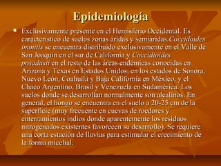 EpidemiologíaEpidemiología
 Exclusivamente presente en el Hemisferio Occidental. EsExclusivamente presente en el Hemisferio Occidental. Es
característico de suelos zonas áridas y semiáridas.característico de suelos zonas áridas y semiáridas.CoccidoidesCoccidoides
immitisimmitis se encuentra distribuido exclusivamente en el Valle dese encuentra distribuido exclusivamente en el Valle de
San Joaquín en el sur de California ySan Joaquín en el sur de California y CoccidioidesCoccidioides
posadasiiposadasii en el resto de las áreas endémicas conocidas enen el resto de las áreas endémicas conocidas en
Arizona y Texas en Estados Unidos; en los estados de Sonora,Arizona y Texas en Estados Unidos; en los estados de Sonora,
Nuevo León, Coahuila y Baja California en México, y elNuevo León, Coahuila y Baja California en México, y el
Chaco Argentino, Brasil y Venezuela en Sudamérica. LosChaco Argentino, Brasil y Venezuela en Sudamérica. Los
suelos donde se desarrollan normalmente son alcalinos. Ensuelos donde se desarrollan normalmente son alcalinos. En
general, el hongo se encuentra en el suelo a 20-25 cm de lageneral, el hongo se encuentra en el suelo a 20-25 cm de la
superficie (muy frecuente en cuevas de roedores ysuperficie (muy frecuente en cuevas de roedores y
enterramientos indios donde aparentemente los residuosenterramientos indios donde aparentemente los residuos
nitrogenados existentes favorecen su desarrollo). Se requierenitrogenados existentes favorecen su desarrollo). Se requiere
una corta estación de lluvias para estimular el crecimiento deuna corta estación de lluvias para estimular el crecimiento de
la forma micelial.la forma micelial.
 