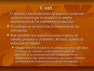 Cont.Cont.
El retorno a las condiciones de sequía y viento sonEl retorno a las condiciones de sequía y viento son
necesarios para que se produzca la amplianecesarios para que se produzca la amplia
diseminación de las artrosporas producidas.diseminación de las artrosporas producidas.
 El contagio se produce tras la inhalación de lasEl contagio se produce tras la inhalación de las
artrosporas.artrosporas.
 Son sensibles los mamíferos como el perro, elSon sensibles los mamíferos como el perro, el
caballo, primates y el hombre. Se tiene registro decaballo, primates y el hombre. Se tiene registro de
infección en reptiles.infección en reptiles.
 Aunque esta enfermedad no es contagiosa entre individuosAunque esta enfermedad no es contagiosa entre individuos
ni a través de vectores, su presentación suele serni a través de vectores, su presentación suele ser
esporádica, en ocasiones pueden producirse brotesesporádica, en ocasiones pueden producirse brotes
epidémicos en las zonas endémicas asociados a factoresepidémicos en las zonas endémicas asociados a factores
que favorezcan la diseminación de las artrosporas.que favorezcan la diseminación de las artrosporas.
 