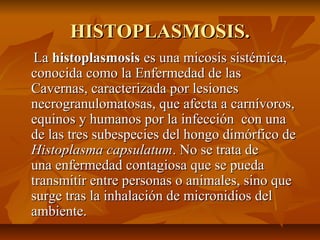 HISTOPLASMOSIS.HISTOPLASMOSIS.
LaLa histoplasmosishistoplasmosis es una micosis sistémica,es una micosis sistémica,
conocida como la Enfermedad de lasconocida como la Enfermedad de las
Cavernas, caracterizada por lesionesCavernas, caracterizada por lesiones
necrogranulomatosas, que afecta a carnívoros,necrogranulomatosas, que afecta a carnívoros,
equinos y humanos por la infección con unaequinos y humanos por la infección con una
de las tres subespecies del hongo dimórfico dede las tres subespecies del hongo dimórfico de
Histoplasma capsulatumHistoplasma capsulatum. No se trata de. No se trata de
una enfermedad contagiosa que se puedauna enfermedad contagiosa que se pueda
transmitir entre personas o animales, sino quetransmitir entre personas o animales, sino que
surge tras la inhalación de micronidios delsurge tras la inhalación de micronidios del
ambiente.ambiente.
 