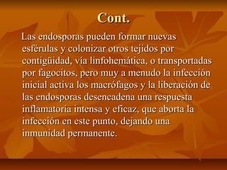Cont.Cont.
Las endosporas pueden formar nuevasLas endosporas pueden formar nuevas
esférulas y colonizar otros tejidos poresférulas y colonizar otros tejidos por
contigüidad, vía linfohemática, o transportadascontigüidad, vía linfohemática, o transportadas
por fagocitos, pero muy a menudo la infecciónpor fagocitos, pero muy a menudo la infección
inicial activa los macrófagos y la liberación deinicial activa los macrófagos y la liberación de
las endosporas desencadena una respuestalas endosporas desencadena una respuesta
inflamatoria intensa y eficaz, que aborta lainflamatoria intensa y eficaz, que aborta la
infección en este punto, dejando unainfección en este punto, dejando una
inmunidad permanente.inmunidad permanente.
 