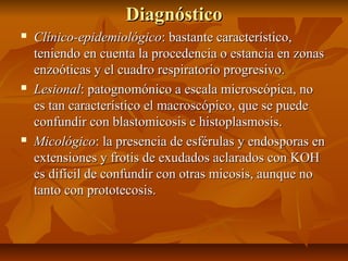 DiagnósticoDiagnóstico
 Clínico-epidemiológicoClínico-epidemiológico: bastante característico,: bastante característico,
teniendo en cuenta la procedencia o estancia en zonasteniendo en cuenta la procedencia o estancia en zonas
enzoóticas y el cuadro respiratorio progresivo.enzoóticas y el cuadro respiratorio progresivo.
 LesionalLesional: patognomónico a escala microscópica, no: patognomónico a escala microscópica, no
es tan característico el macroscópico, que se puedees tan característico el macroscópico, que se puede
confundir con blastomicosis e histoplasmosis.confundir con blastomicosis e histoplasmosis.
 MicológicoMicológico: la presencia de esférulas y endosporas en: la presencia de esférulas y endosporas en
extensiones y frotis de exudados aclarados con KOHextensiones y frotis de exudados aclarados con KOH
es difícil de confundir con otras micosis, aunque noes difícil de confundir con otras micosis, aunque no
tanto con prototecosis.tanto con prototecosis.
 