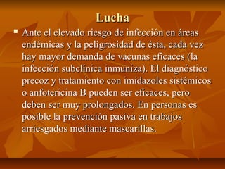 LuchaLucha
 Ante el elevado riesgo de infección en áreasAnte el elevado riesgo de infección en áreas
endémicas y la peligrosidad de ésta, cada vezendémicas y la peligrosidad de ésta, cada vez
hay mayor demanda de vacunas eficaces (lahay mayor demanda de vacunas eficaces (la
infección subclínica inmuniza). El diagnósticoinfección subclínica inmuniza). El diagnóstico
precoz y tratamiento con imidazoles sistémicosprecoz y tratamiento con imidazoles sistémicos
o anfotericina B pueden ser eficaces, peroo anfotericina B pueden ser eficaces, pero
deben ser muy prolongados. En personas esdeben ser muy prolongados. En personas es
posible la prevención pasiva en trabajosposible la prevención pasiva en trabajos
arriesgados mediante mascarillas.arriesgados mediante mascarillas.
 