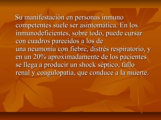 Su manifestación en personas inmunoSu manifestación en personas inmuno
competentes suele ser asintomática. En loscompetentes suele ser asintomática. En los
inmunodeficientes, sobre todo, puede cursarinmunodeficientes, sobre todo, puede cursar
con cuadros parecidos a los decon cuadros parecidos a los de
una neumonía con fiebre, distrés respiratorio, yuna neumonía con fiebre, distrés respiratorio, y
en un 20% aproximadamente de los pacientesen un 20% aproximadamente de los pacientes
se llega a producir un shock séptico, fallose llega a producir un shock séptico, fallo
renal y coagulopatía, que conduce a la muerte.renal y coagulopatía, que conduce a la muerte.
 