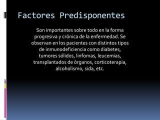 Factores Predisponentes
Son importantes sobre todo en la forma
progresiva y crónica de la enfermedad. Se
observan en los pacientes con distintos tipos
de inmunodeficiencia como diabetes,
tumores sólidos, linfomas, leucemias,
transplantados de órganos, corticoterapia,
alcoholismo, sida, etc.
 