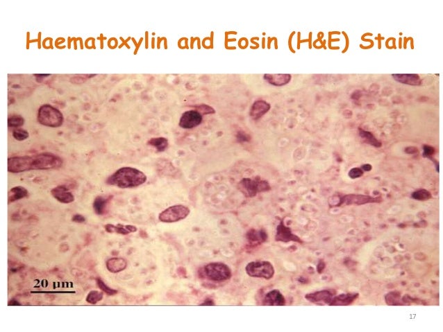 Delphi 7 на русском для windows 7 64 bit download