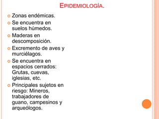 EPIDEMIOLOGÍA.
 Zonas endémicas.
 Se encuentra en
suelos húmedos.
 Maderas en
descomposición.
 Excremento de aves y
murciélagos.
 Se encuentra en
espacios cerrados:
Grutas, cuevas,
iglesias, etc.
 Principales sujetos en
riesgo: Mineros,
trabajadores de
guano, campesinos y
arqueólogos.
 