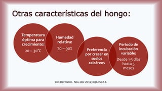 Otras características del hongo:
Temperatura
óptima para
crecimiento:
20 – 30°C
Humedad
relativa:
70 – 90% Preferencia
por crecer en
suelos
calcáreos
Periodo de
incubación
variable:
Desde 1-3 días
hasta 5
meses
Clin Dermatol . Nov-Dec 2012;30(6):592-8.
 