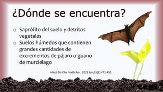 ¿Dónde se encuentra?
o Saprófito del suelo y detritos
vegetales
o Suelos húmedos que contienen
grandes cantidades de
excrementos de pájaro o guano
de murciélago
Infect Dis Clin North Am . 2021 Jun;35(2):471-491.
 