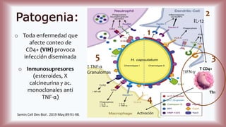 Patogenia:
T CD4+
↑IFN‐γ
Activación
IL-12
1
2
3
Th1
4
↑ TNF-α
Granulomas
5
o Toda enfermedad que
afecte conteo de
CD4+ (VIH) provoca
infección diseminada
o Inmunosupresores
(esteroides, X
calcineurina y ac.
monoclonales anti
TNF-α)
Semin Cell Dev Biol . 2019 May;89:91-98.
 