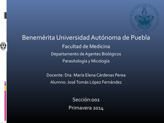 Benemérita Universidad Autónoma de Puebla
Facultad de Medicina
Departamento de Agentes Biológicos
Parasitología y Micología
Docente: Dra. María Elena Cárdenas Perea
Alumno: JoséTomás López Fernández
Sección:002
Primavera 2014
 