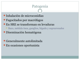 Patogenia
Inhalación de microconidias
Fagocitados por macrófagos
En SRE se transforman en levaduras
 Bazo, médula ósea, ganglios, hígado y suprarrenales
Diseminación hematógena
Generalmente autolimitada
En ocasiones oportunista
 