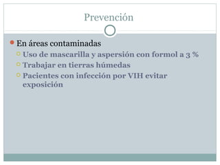 Prevención
En áreas contaminadas
 Uso de mascarilla y aspersión con formol a 3 %
 Trabajar en tierras húmedas
 Pacientes con infección por VIH evitar
exposición
 