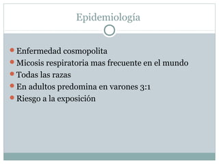 Epidemiología
Enfermedad cosmopolita
Micosis respiratoria mas frecuente en el mundo
Todas las razas
En adultos predomina en varones 3:1
Riesgo a la exposición
 