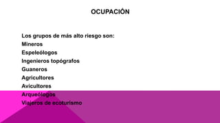 OCUPACIÓN
Los grupos de más alto riesgo son:
Mineros
Espeleólogos
Ingenieros topógrafos
Guaneros
Agricultores
Avicultores
Arqueólogos
Viajeros de ecoturismo
 