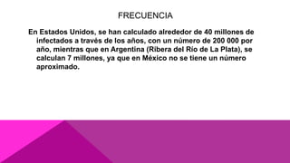 FRECUENCIA
En Estados Unidos, se han calculado alrededor de 40 millones de
infectados a través de los años, con un número de 200 000 por
año, mientras que en Argentina (Ribera del Río de La Plata), se
calculan 7 millones, ya que en México no se tiene un número
aproximado.
 