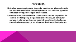 PATOGENIA
Histoplasma capsulatum por lo regular penetra por vía respiratoria;
las esporas o conidios son transportados con facilidad y pueden
atravesar bronquiolos llegando al alvéolo.
Los factores de virulencia de H. capsulatum son: su capacidad de
cambio morfológico y bioquímico (dimorfismo), en particular
porque el microorganismo se hace intracelular estricto, lo que
complica la respuesta de los sistemas de defensa inmunitarios.
 